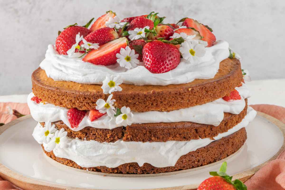 torta con pan di spagna